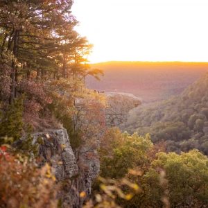 100% Arkansas - 14 Nuits