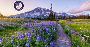 100% Washington State - 14 nuits
