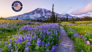 100% Washington State - 14 nuits