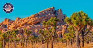 100% Californie : Highway 1 et Parcs Nationaux - 14 nuits