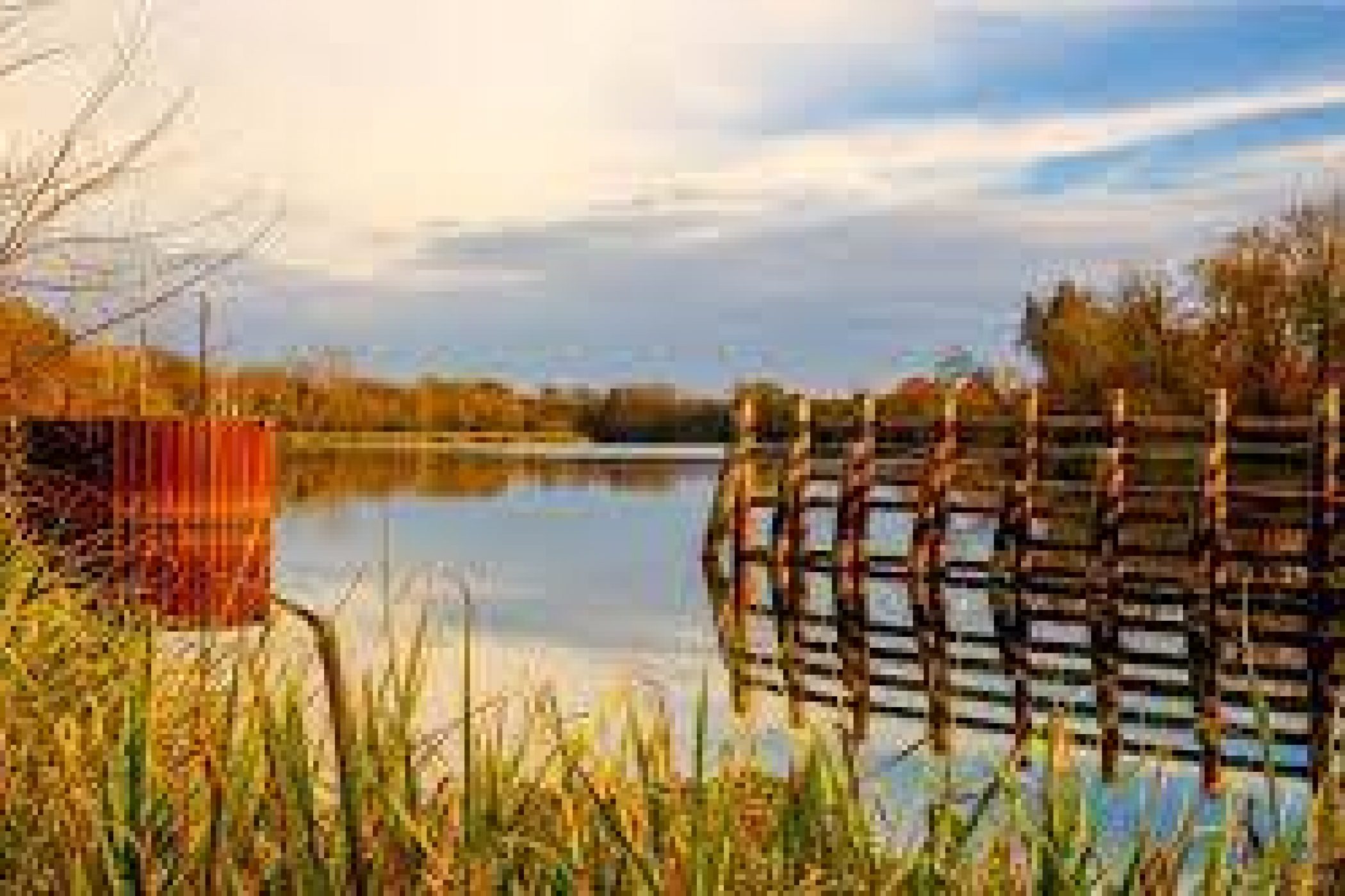 Géorgie - Rivière Savannah à Augusta