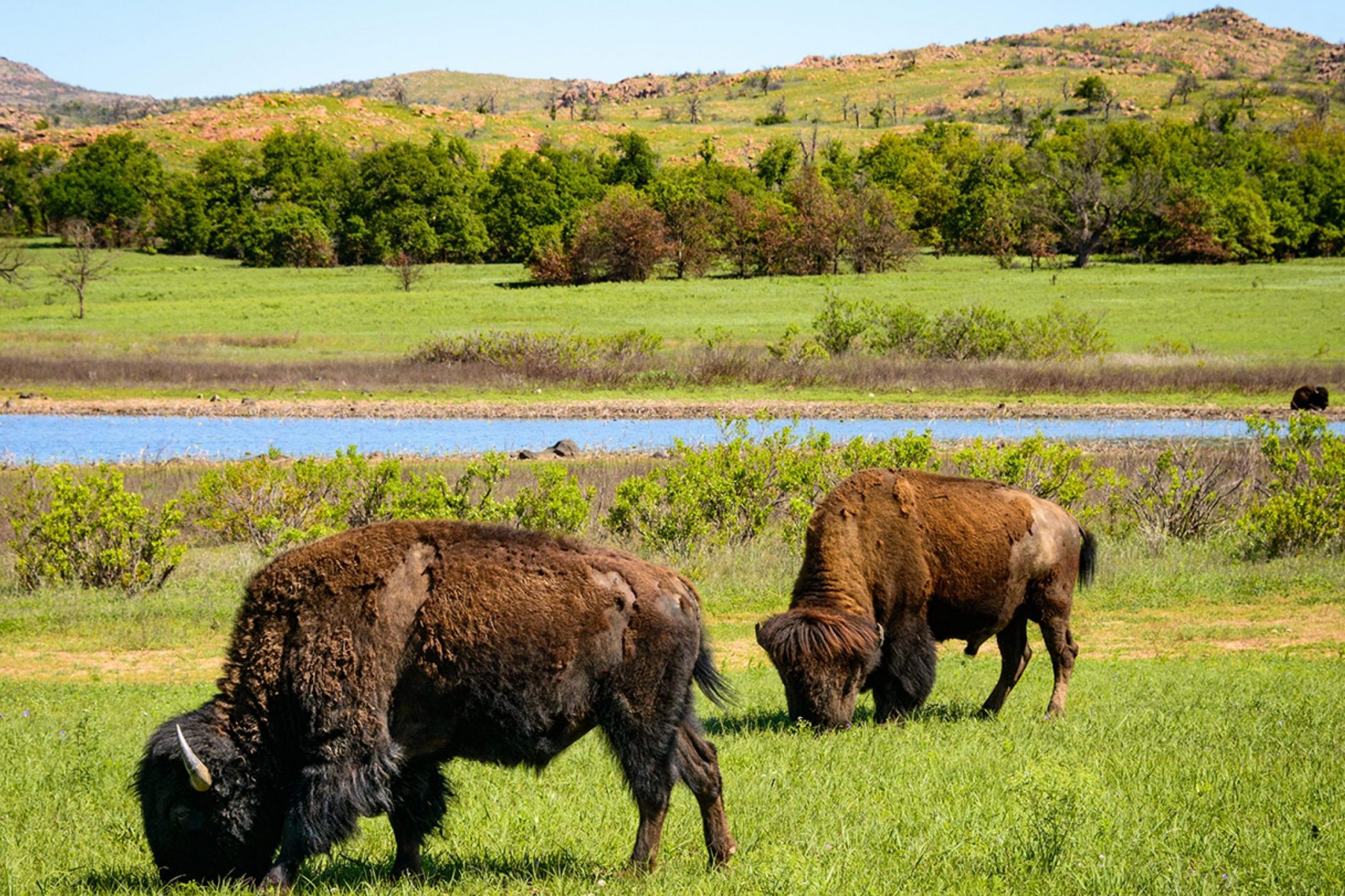 Oklahoma - Wichita Mountains Scenic byway