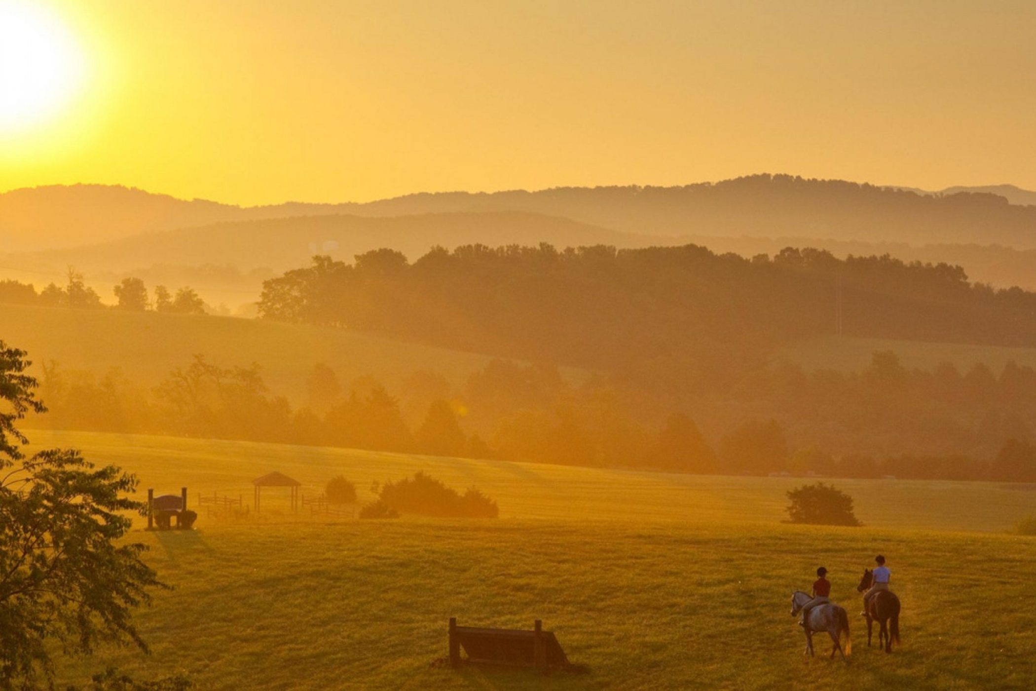 Virginie - Virginia Horse Center